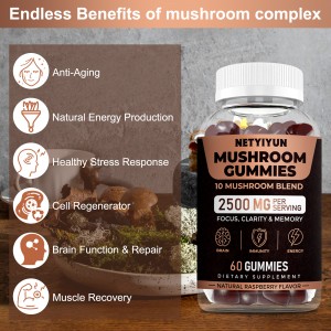 Mushroom Gummies with Lions Mane, 10 Blend Mushroom Complex 2500mg, Cordyceps, Shiitake, Turkey Tail, Reishi, Oyster Mushroom Supplement Nootropic Brain for Memory and Focus 60 Units